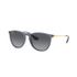 Ray Ban RB4171 Erika Polarized